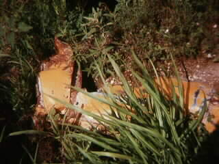 [Part of yellow bus buried in ground]