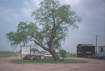 [Picture of front area of site]