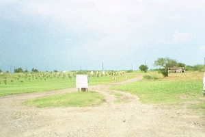 [Picture looking into Davidian grounds]